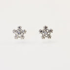 Imitation Rhodium Color