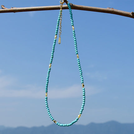 Natural Gemstone Turquoise Charms Necklace
