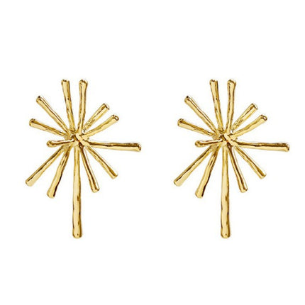 Irregular Fireworks Stud Earrings - FASHION SHEGOODS LLC