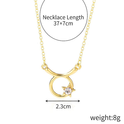 Custom 12 Zodiac Necklace Horoscope Necklace